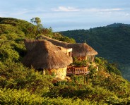 Safari Retreat